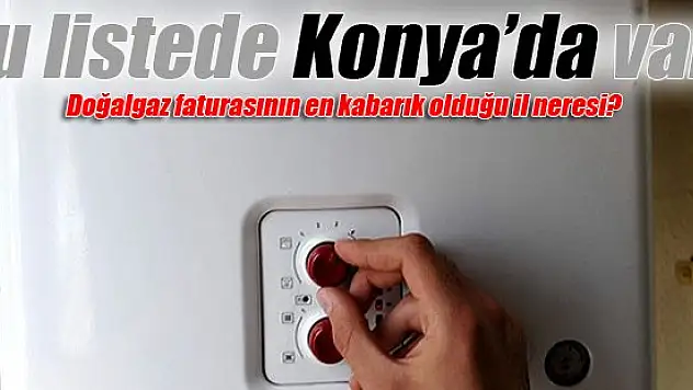 Doğalgaz faturasının en kabarık olduğu il neresi?