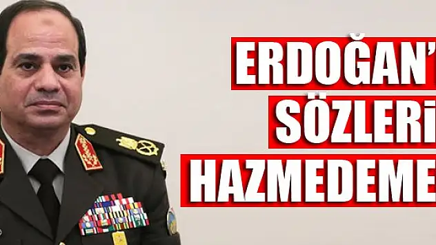 Sisi, Erdoğan'ın sözlerini hazmedemedi