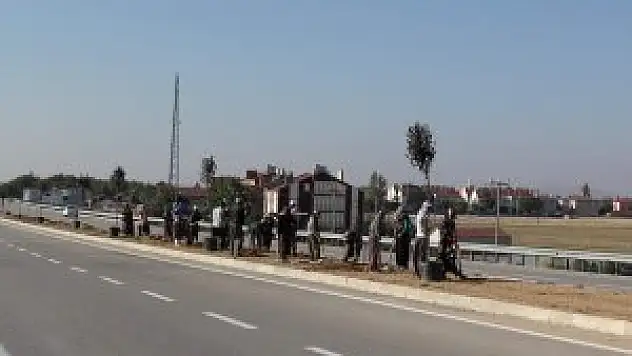 Cihanbeyli'de refüjler yeşilleniyor