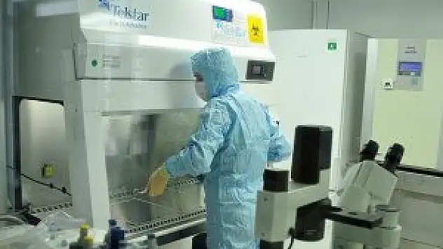 Danimarka'da MRSA tehdidi büyüyor