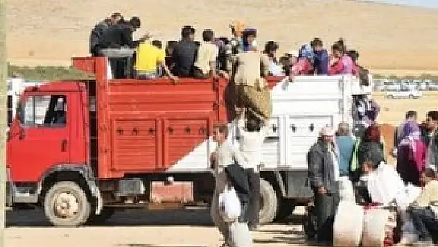 Gerekirse biz kurarız