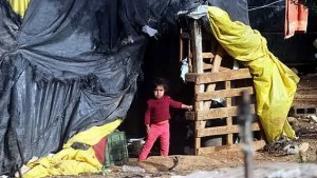 Doğu Kudüs'te binlerce Filistinli göçe zorlanıyor