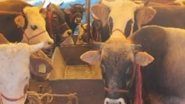 Bayramda bu hastalığa dikkat