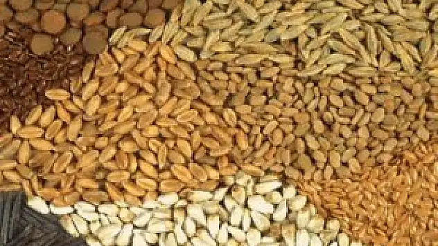 74 ülkeye satıyoruz