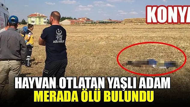 Konya'da hayvan otlatan yaşlı adam merada ölü bulundu