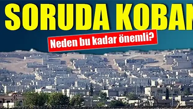 5 soruda Kobani
