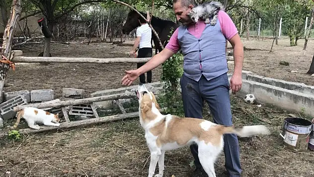 'Hayvanlar hayatıma her zaman güzellik katıyor'