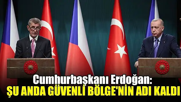 Cumhurbaşkanı Erdoğan: Şu anda Güvenli Bölge'nin adı kaldı