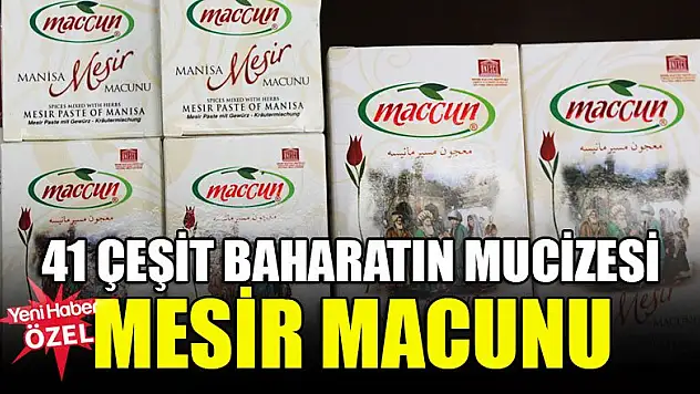 41 çeşit baharatın mucizesi mesir macunu