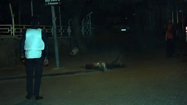 2 polisi şehit eden 4 PKK'lı öldürüldü