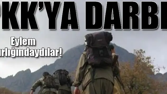 Eylem hazırlığında olan PKK'ya darbe!