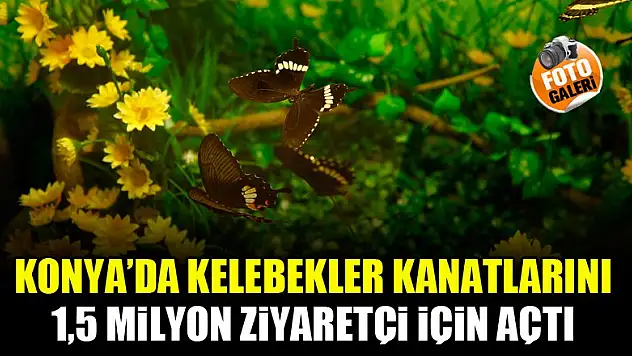 Konya'da kelebekler kanatlarını 1,5 milyon ziyaretçi için açtı