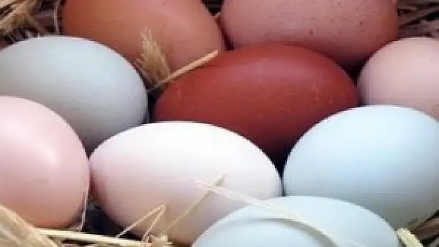 Çiğ yumurta tüketmeyin