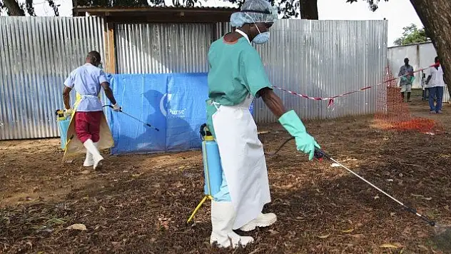 Ebola kaç can aldı?