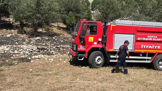 Yalıhüyük'te orman yangını