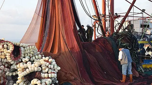 Palamutta bereket yüz güldürüyor