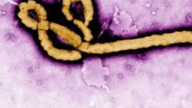 41 BM çalışanı gözlem altına alındı