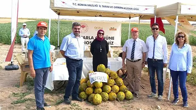 Ünlü Kavunu ve Muganlı-57 susam çeşidi Meram'da denendi