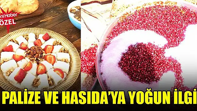 Palize ve Hasıda'ya yoğun ilgi