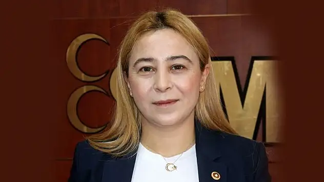 Esin Kara kazalarla ilgili  araştırma önergesi verdi