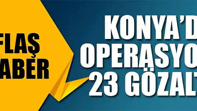 Konya'da suç örgütü operasyonu