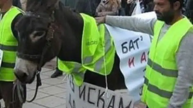 Türklere eşekli hakaret