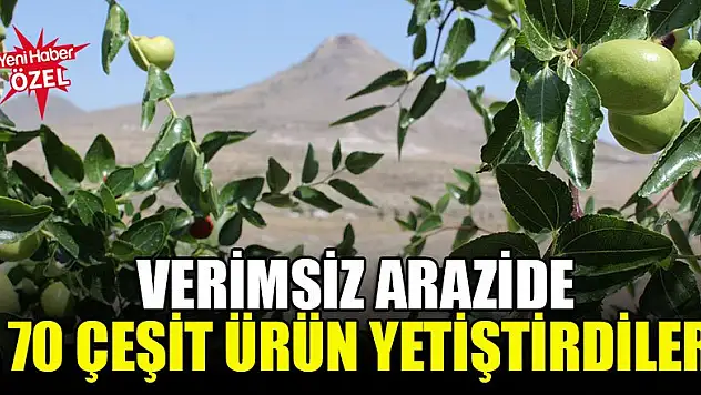 Verimsiz arazide 70 çeşit ürün yetiştirdiler