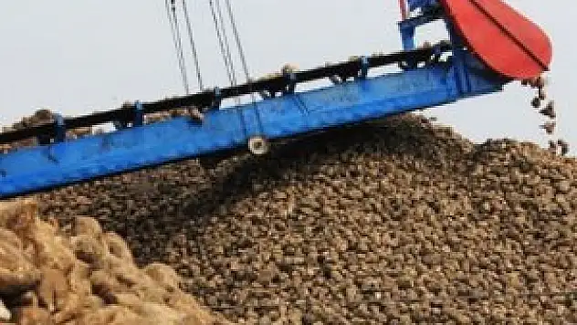 'Uyuyan dev' 4 yıl sonra uyandı