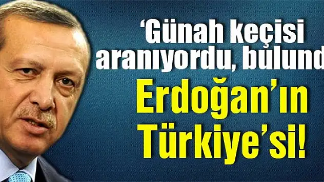 Haşimi: Günah keçisi aranıyordu, bulundu: Erdoğan'ın Türkiye'si