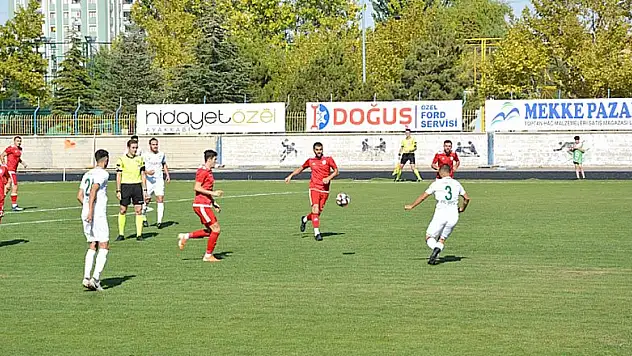 Yavru kartallar yükseliş peşinde