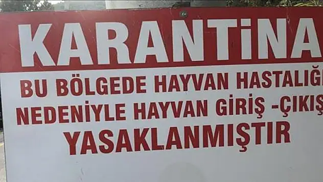 Konya'da veba karantinası!