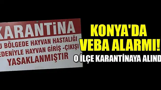Konya'da veba alarmı! İlçe karantinaya alındı