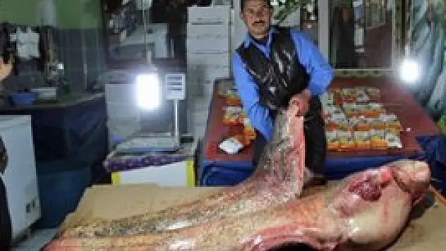 Gölde 100 kiloluk dev balık yakalandı