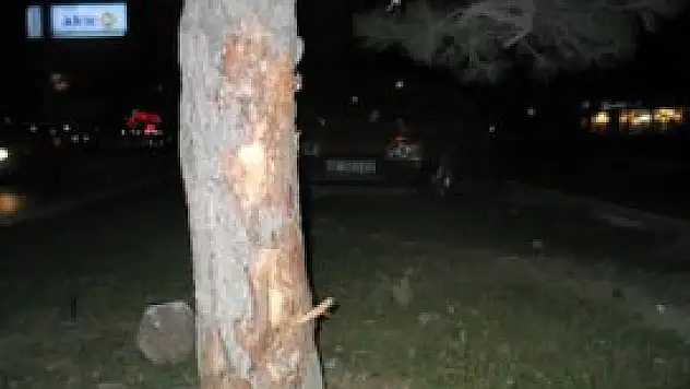 Otomobil ağaca çarptı: 5 yaralı