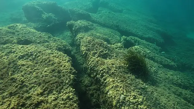Antik Çağ'ın izlerini 'su altında' arıyorlar