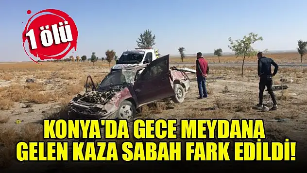Konya'da gece meydana gelen kaza sabah fark edildi: 1 ölü