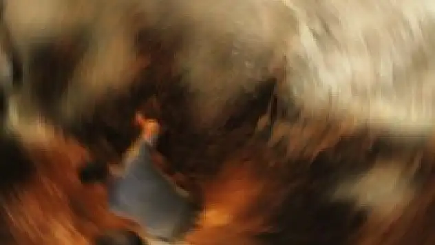 TOKİ inşaatında göçük: 1 yaralı