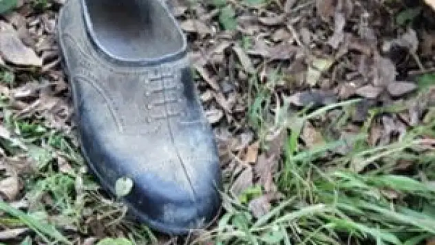 Kestiği ağacın altında kaldı