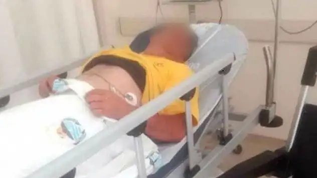 Konya'da ceviz çırparken elektrik akımına kapılıp yaralandı