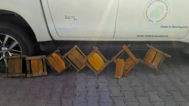 Tuzakla keklik avcılığına ceza