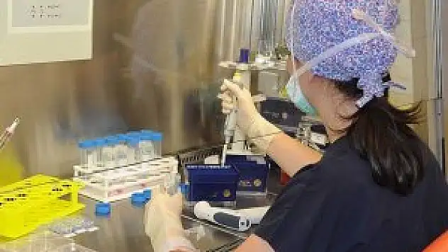 Felçli hastalara umut ışığı