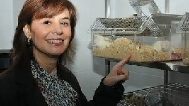 SÜDAM faaliyetlere başladı