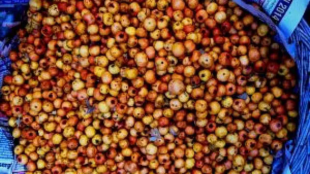 Pazarları alıç kızıllığı renklendirdi <span style'color: red'>ÖZEL HABER</span>