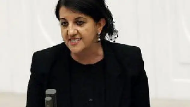 Pervin Buldan'ı isyan ettiren fotoğraf