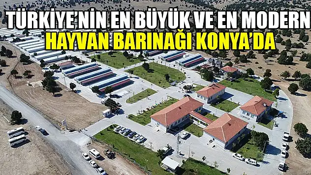 Türkiye'nin En Büyük ve En Modern Hayvan Barınağı Konya'da
