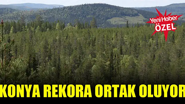 Konya rekora ortak oluyor