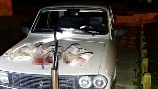 Konya'da otomobil farıyla tavşan avına ceza