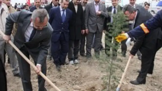 'Hane sayısı kadar ağaç dikme hedefliyoruz'