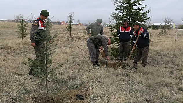 Kulu jandarması 526 sedir fidanını toprakla buluşturdu