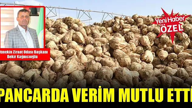 Pancarda verim mutlu etti